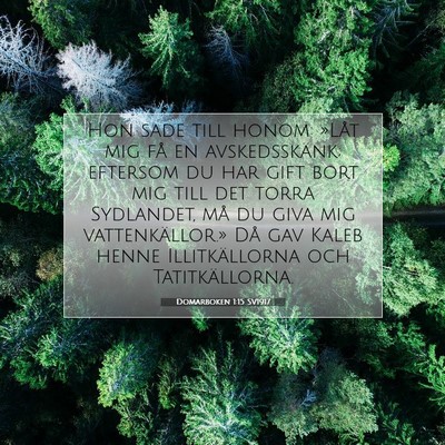 Picture 07 - Domarboken 1:15 SV1917 - Hon sade till honom: »Låt mig få en - Bible Verse Picture