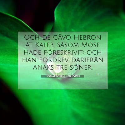Picture 07 - Domarboken 1:20 SV1917 - Och de gåvo Hebron åt Kaleb, såsom Mose hade - Bible Verse Picture