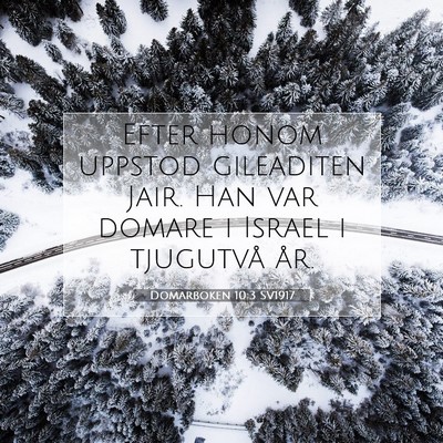 Picture 07 - Domarboken 10:3 SV1917 - Efter honom uppstod gileaditen Jair. Han var - Bible Verse Picture