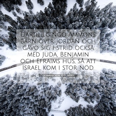 Picture 07 - Domarboken 10:9 SV1917 - Därtill gingo Ammons barn över Jordan och gåvo - Bible Verse Picture