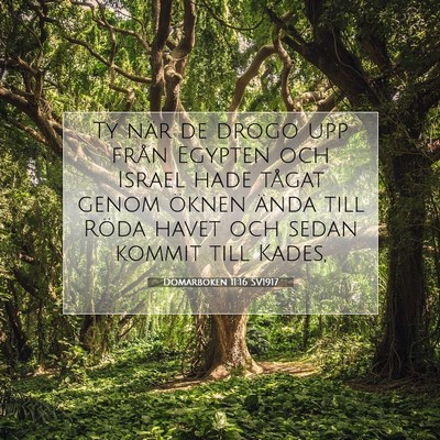 Picture 07 - Domarboken 11:16 SV1917 - Ty när de drogo upp från Egypten och Israel - Bible Verse Picture