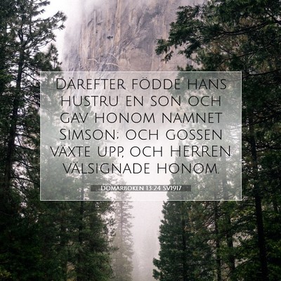 Picture 07 - Domarboken 13:24 SV1917 - Därefter födde hans hustru en son och gav honom - Bible Verse Picture