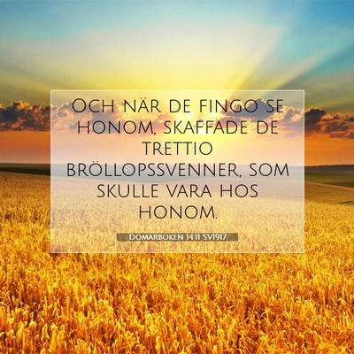 Picture 07 - Domarboken 14:11 SV1917 - Och när de fingo se honom, skaffade de trettio - Bible Verse Picture