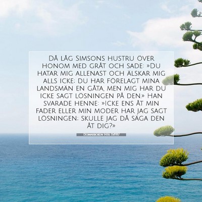 Picture 07 - Domarboken 14:16 SV1917 - Då låg Simsons hustru över honom med gråt och - Bible Verse Picture