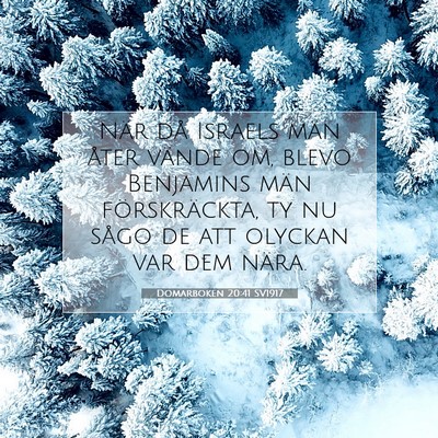 Picture 07 - Domarboken 20:41 SV1917 - När då Israels män åter vände om, blevo - Bible Verse Picture