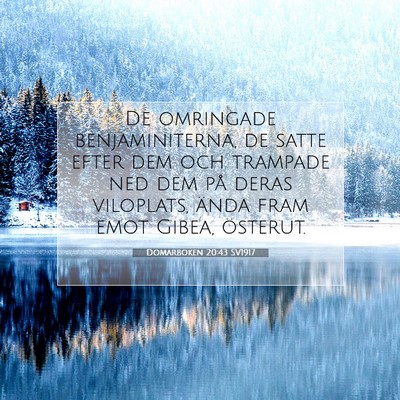 Picture 07 - Domarboken 20:43 SV1917 - De omringade benjaminiterna, de satte efter dem - Bible Verse Picture