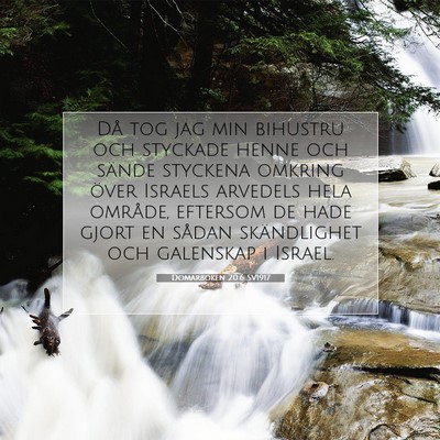 Picture 07 - Domarboken 20:6 SV1917 - Då tog jag min bihustru och styckade henne och - Bible Verse Picture