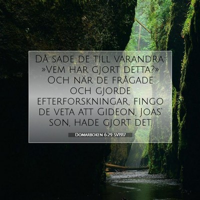 Picture 07 - Domarboken 6:29 SV1917 - Då sade de till varandra: »Vem har gjort - Bible Verse Picture