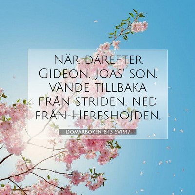 Picture 07 - Domarboken 8:13 SV1917 - När därefter Gideon, Joas' son, vände tillbaka - Bible Verse Picture