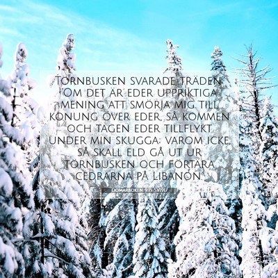 Picture 07 - Domarboken 9:15 SV1917 - Törnbusken svarade träden: 'Om det är eder - Bible Verse Picture