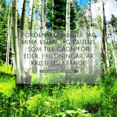 Picture 07 - Efesierbrevet 3:1 SV1917 - Fördenskull böjer jag mina knän, jag Paulus, - Bible Verse Picture
