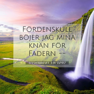 Picture 07 - Efesierbrevet 3:14 SV1917 - Fördenskull böjer jag mina knän för Fadern - Bible Verse Picture