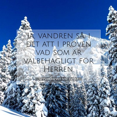 Picture 07 - Efesierbrevet 5:10 SV1917 - Ja, vandren så, i det att I pröven vad som är - Bible Verse Picture