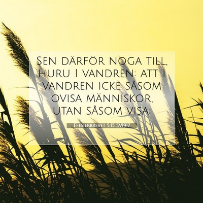 Picture 07 - Efesierbrevet 5:15 SV1917 - Sen därför noga till, huru I vandren: att I - Bible Verse Picture