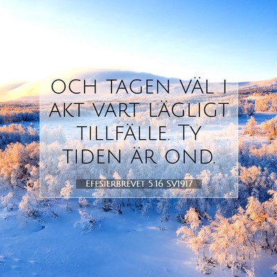 Picture 07 - Efesierbrevet 5:16 SV1917 - och tagen väl i akt vart lägligt tillfälle. Ty - Bible Verse Picture
