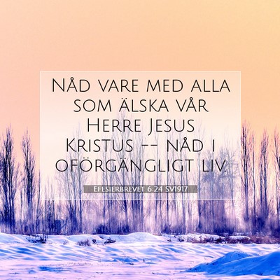 Picture 07 - Efesierbrevet 6:24 SV1917 - Nåd vare med alla som älska vår Herre Jesus - Bible Verse Picture