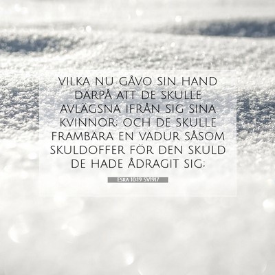 Picture 07 - Esra 10:19 SV1917 - vilka nu gåvo sin hand därpå att de skulle - Bible Verse Picture