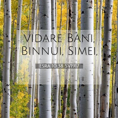 Picture 07 - Esra 10:38 SV1917 - vidare Bani, Binnui, - Bible Verse Picture