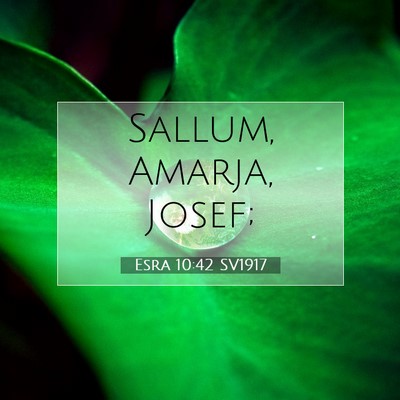 Picture 07 - Esra 10:42 SV1917 - Sallum, Amarja, - Bible Verse Picture