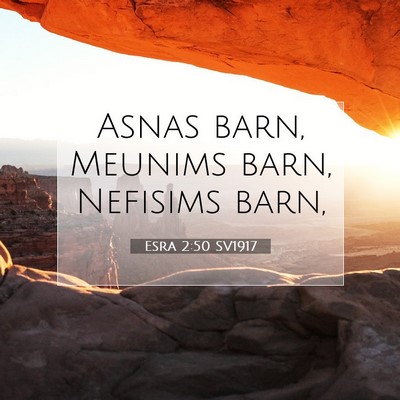 Picture 07 - Esra 2:50 SV1917 - Asnas barn, Meunims barn, Nefisims - Bible Verse Picture