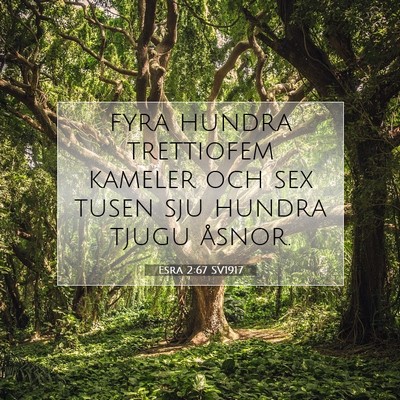 Picture 07 - Esra 2:67 SV1917 - fyra hundra trettiofem kameler och sex tusen sju - Bible Verse Picture