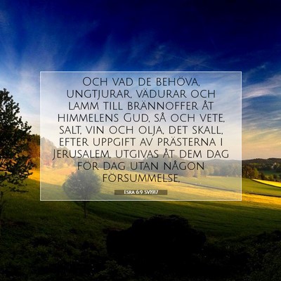 Picture 07 - Esra 6:9 SV1917 - Och vad de behöva, ungtjurar, vädurar och lamm - Bible Verse Picture