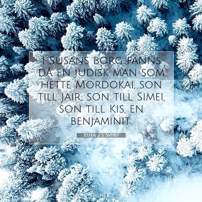 Picture 07 - Ester 2:5 SV1917 - I Susans borg fanns då en judisk man som hette - Bible Verse Picture