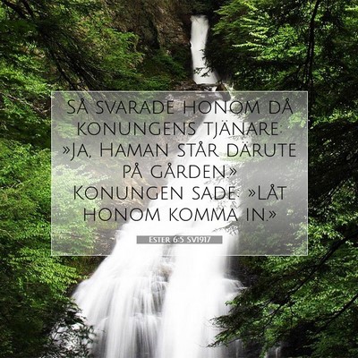 Picture 07 - Ester 6:5 SV1917 - Så svarade honom då konungens tjänare: »Ja, - Bible Verse Picture