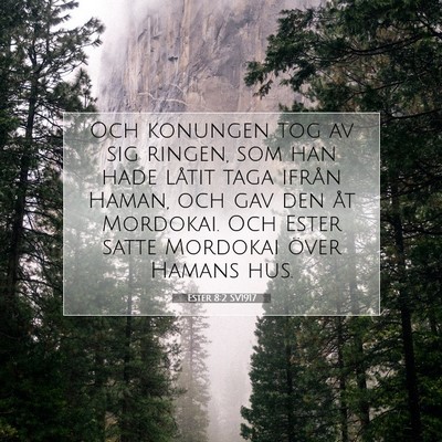 Picture 07 - Ester 8:2 SV1917 - Och konungen tog av sig ringen, som han hade - Bible Verse Picture