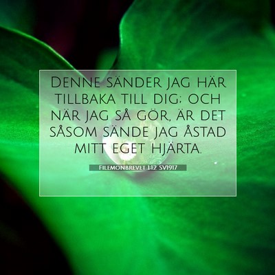 Picture 07 - Filemonbrevet 1:12 SV1917 - Denne sänder jag här tillbaka till dig; och - Bible Verse Picture