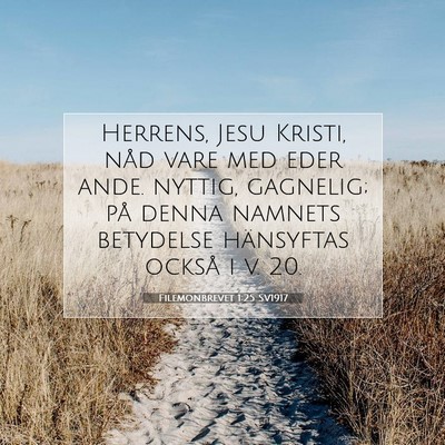 Picture 07 - Filemonbrevet 1:25 SV1917 - Herrens, Jesu Kristi, nåd vare med eder ande. - Bible Verse Picture