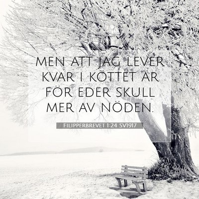 Picture 07 - Filipperbrevet 1:24 SV1917 - men att jag lever kvar i köttet är för eder - Bible Verse Picture