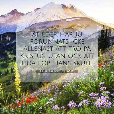 Picture 07 - Filipperbrevet 1:29 SV1917 - Åt eder har ju förunnats icke allenast att tro - Bible Verse Picture