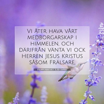Picture 07 - Filipperbrevet 3:20 SV1917 - Vi åter hava vårt medborgarskap i himmelen, och - Bible Verse Picture