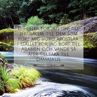 Picture 07 - Galaterbrevet 1:17 SV1917 - ej heller for jag upp till Jerusalem, till dem - Bible Verse Picture