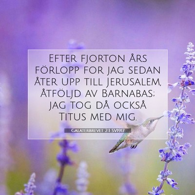Picture 07 - Galaterbrevet 2:1 SV1917 - Efter fjorton års förlopp for jag sedan åter - Bible Verse Picture