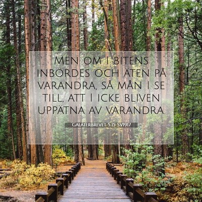 Picture 07 - Galaterbrevet 5:15 SV1917 - Men om I bitens inbördes och äten på varandra, - Bible Verse Picture