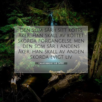 Picture 07 - Galaterbrevet 6:8 SV1917 - Den som sår i sitt kötts åker, han skall av - Bible Verse Picture