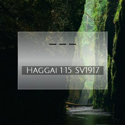 Picture 07 - Haggai 1:15 SV1917 -  - Bible Verse Picture