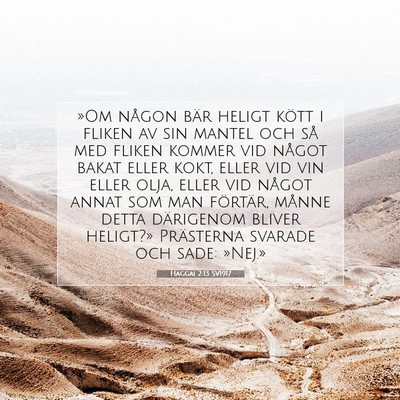 Picture 07 - Haggai 2:13 SV1917 - »Om någon bär heligt kött i fliken av sin - Bible Verse Picture