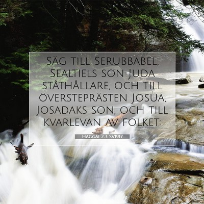 Picture 07 - Haggai 2:3 SV1917 - Säg till Serubbabel, Sealtiels son Juda - Bible Verse Picture
