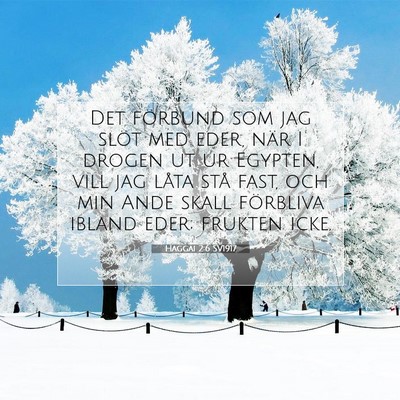 Picture 07 - Haggai 2:6 SV1917 - Det förbund som jag slöt med eder, när I - Bible Verse Picture