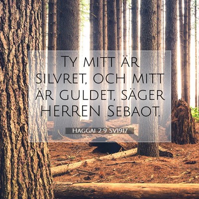Picture 07 - Haggai 2:9 SV1917 - Ty mitt är silvret, och mitt är guldet, säger - Bible Verse Picture