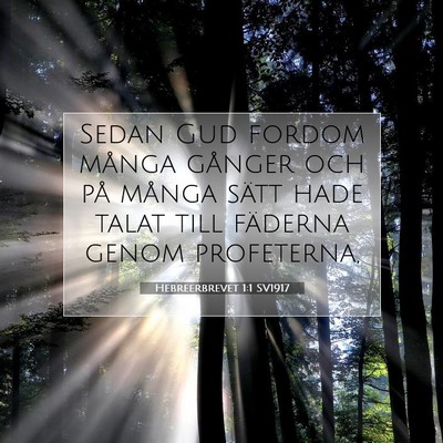 Picture 07 - Hebreerbrevet 1:1 SV1917 - Sedan Gud fordom många gånger och på många - Bible Verse Picture