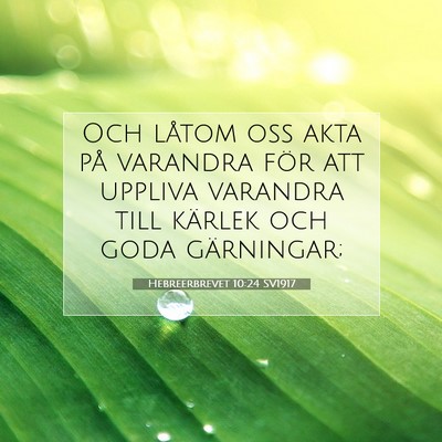 Picture 07 - Hebreerbrevet 10:24 SV1917 - Och låtom oss akta på varandra för att uppliva - Bible Verse Picture
