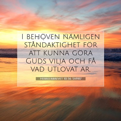 Picture 07 - Hebreerbrevet 10:36 SV1917 - I behöven nämligen ståndaktighet för att - Bible Verse Picture
