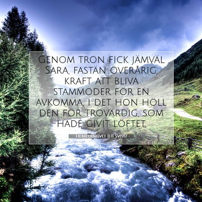 Picture 07 - Hebreerbrevet 11:11 SV1917 - Genom tron fick jämväl Sara, fastän - Bible Verse Picture