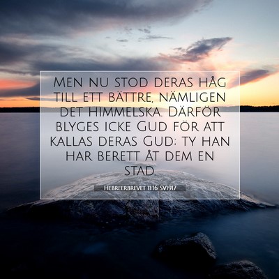 Picture 07 - Hebreerbrevet 11:16 SV1917 - Men nu stod deras håg till ett bättre, - Bible Verse Picture