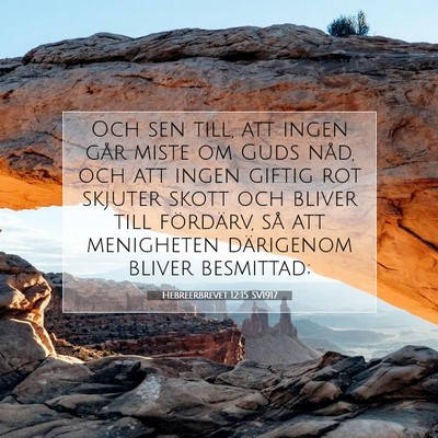 Picture 07 - Hebreerbrevet 12:15 SV1917 - Och sen till, att ingen går miste om Guds nåd, - Bible Verse Picture