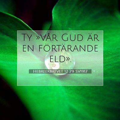 Picture 07 - Hebreerbrevet 12:29 SV1917 - Ty »vår Gud är en förtärande - Bible Verse Picture